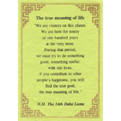 Quotes card - True Meaning Of Life